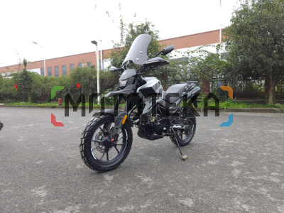 Мотоцикл дорожный Regulmoto (Регулмото) DUKE 300 серый с ПТС