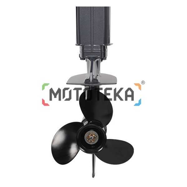 Лодочный мотор ALLFA (Альфа) CG Т9.9 MAX FW S