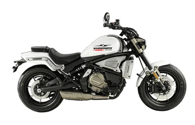 Мотоцикл дорожный SHARMAX (Шармакс) RR 801 | Мототека