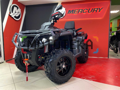 Квадроцикл AODES (Аодес) Pathcross ATV800S EPS одноместный черный с ПСМ