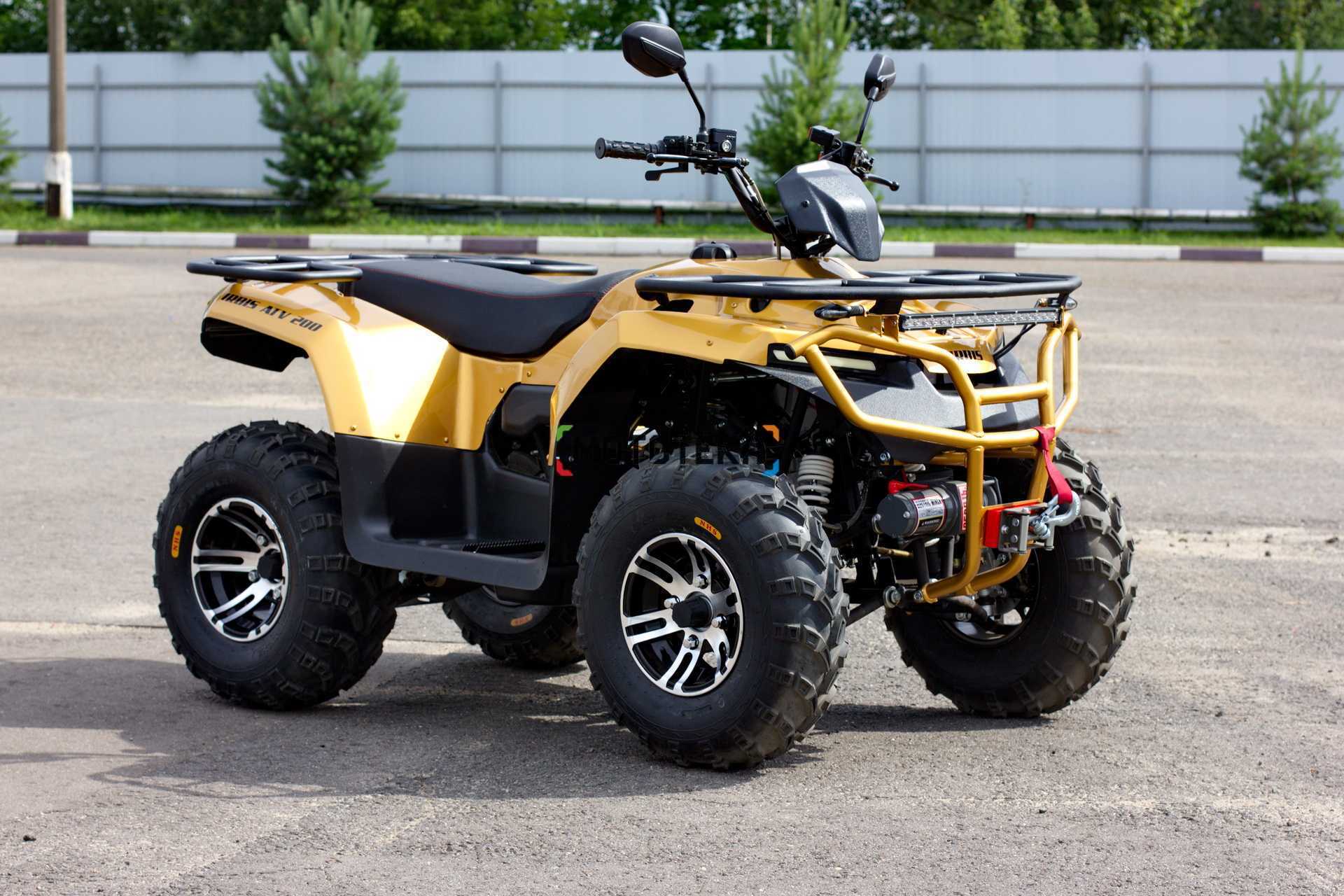 Квадроцикл IRBIS (Ирбис) ATV 250 Premium 2024 синий с ПСМ
