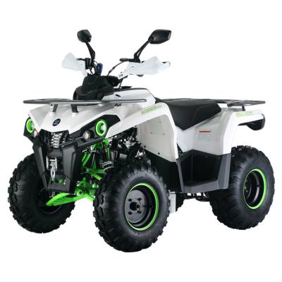 Квадроцикл Mikilon (Микилон) HAMMER 200L Pro LUX белый (машинокомплект)
