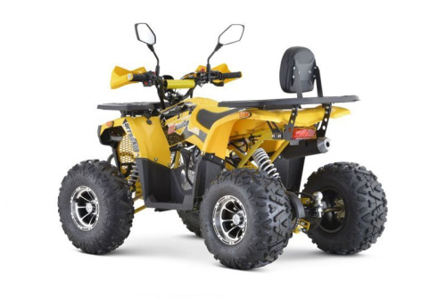 Квадроцикл подростковый FXMOTO (ФХМото) PIKE 150 жёлтый (машинокомплект) фото 5 Квадроцикл подростковый FXMOTO (ФХМото) PIKE 150 жёлтый (машинокомплект) фото 5