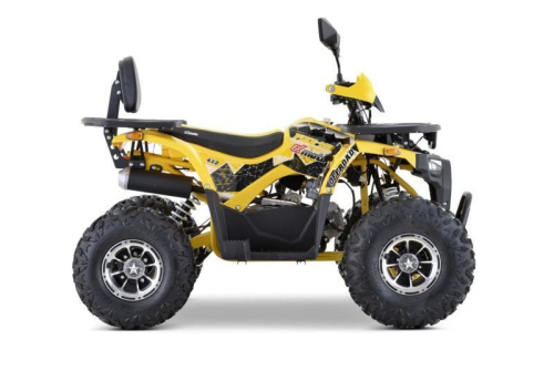 Квадроцикл подростковый FXMOTO (ФХМото) PIKE 150 жёлтый (машинокомплект) фото 7 Квадроцикл подростковый FXMOTO (ФХМото) PIKE 150 жёлтый (машинокомплект) фото 7