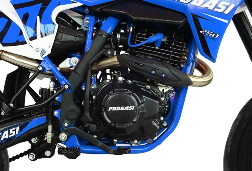Мотоцикл кроссовый / эндуро Progasi (Прогаси) Super Max 250 SM Blue с ЭПТС фото 3