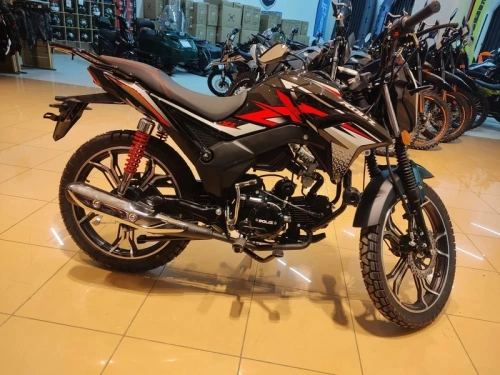 Мопед ROLIZ (Ролиз) Альфа VERTIGO XL фото 13 Мопед ROLIZ (Ролиз) Альфа VERTIGO XL фото 13