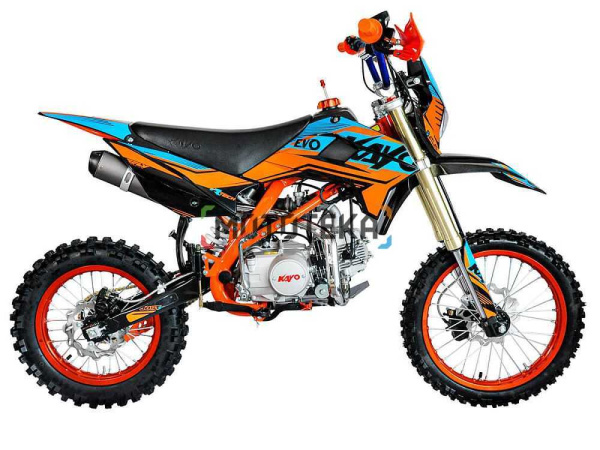 Питбайк KAYO EVOLUTION K125EM 17/14 KRZ (механ. сцепл., эл. стартер 2024 г.) (обрешётка. 1560012-789-8709) | Мототека