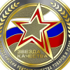 Снегоход Promax (Промакс) 300 SNOWPRO (машинокомплект) - купить с доставкой, по выгодной цене в интернет-магазине Мототека