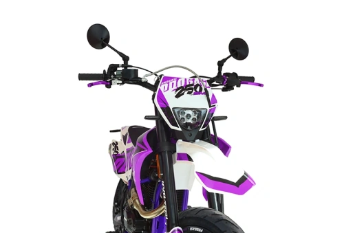 Мотоцикл кроссовый / эндуро Progasi (Прогаси) Super Max 250 SM Purple с ЭПТС фото 6 Мотоцикл кроссовый / эндуро Progasi (Прогаси) Super Max 250 SM Purple с ЭПТС фото 6