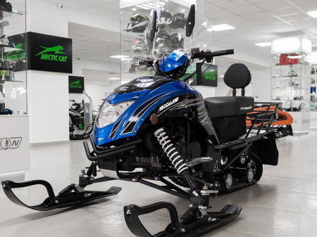 Снегоход Promax (Промакс) 300 SNOWPRO (машинокомплект) - купить с доставкой, по выгодной цене в интернет-магазине Мототека