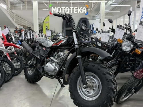 Мотоцикл внедорожный СКАУТ-10 PR300 фото 7 Мотоцикл внедорожный СКАУТ-10 PR300 фото 7