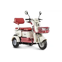 Электротрицикл Rutrike (Рутрайк) Gelbert Mercury 48V/60V 650Вт