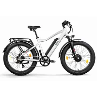 Электровелосипед Eltreco (Эльтреко) BigCat Dual Next PRO