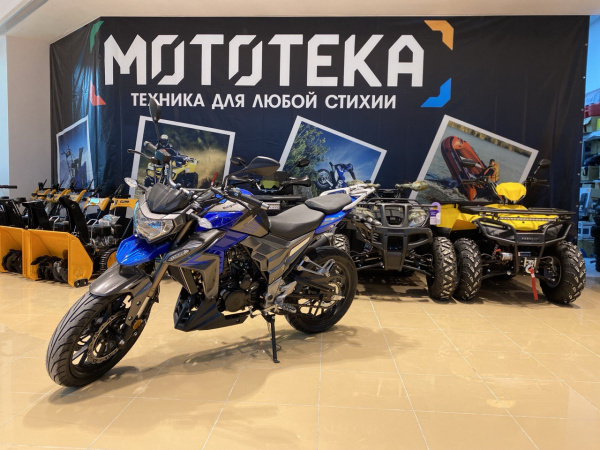 Мотоцикл дорожный Regulmoto (Регулмото) T - Leopard 300 синий с ПТС | Мототека