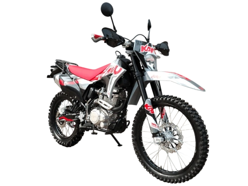 Мотоцикл кроссовый / эндуро KAYO (Кайо) T1-L 300 Enduro (PR300) 21/18 с ПТС фото 3