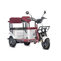 Электротрицикл Wanshida U1-X 60V 800Вт