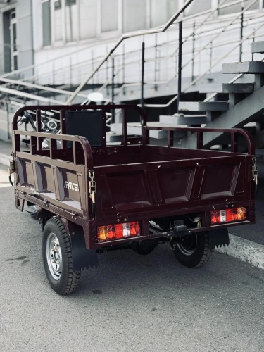 Трицикл грузовой Racer (Рейсер) RC200ZH Muravei с ПСМ фото 2
