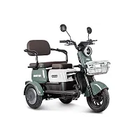 Электротрицикл Rutrike (Рутрайк) Gelbert Sun 48V/60V 650Вт